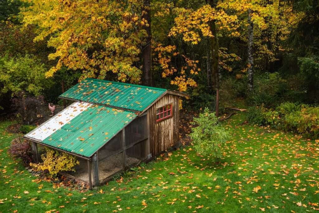 Chicken Coop Outdoor Color